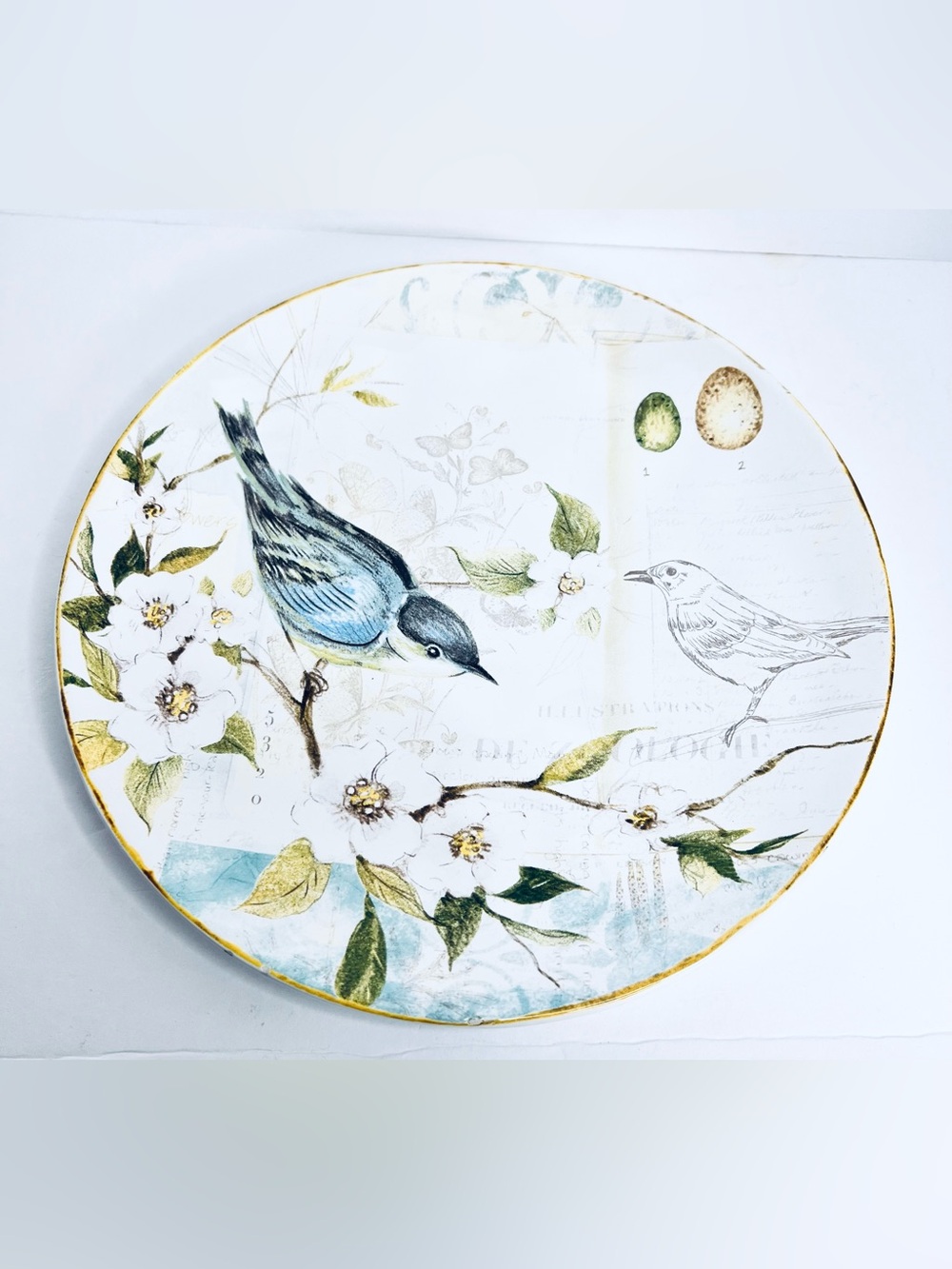 Pier 1 Imports Field Notes Bird Floral Earthenware Dinner Plate 9” Nature